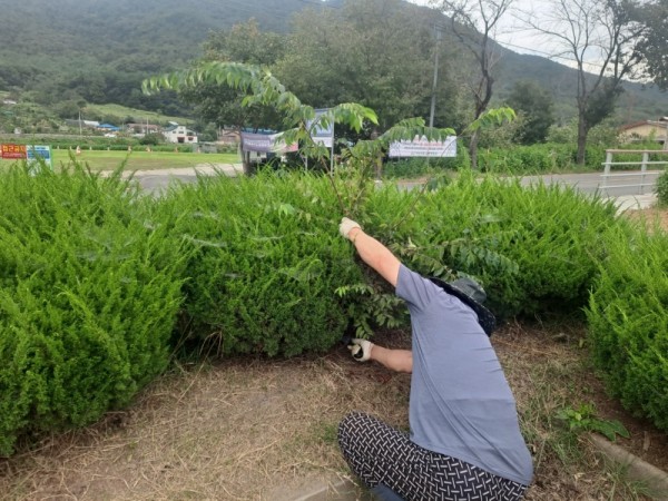 KakaoTalk_20220913_202442453.jpg