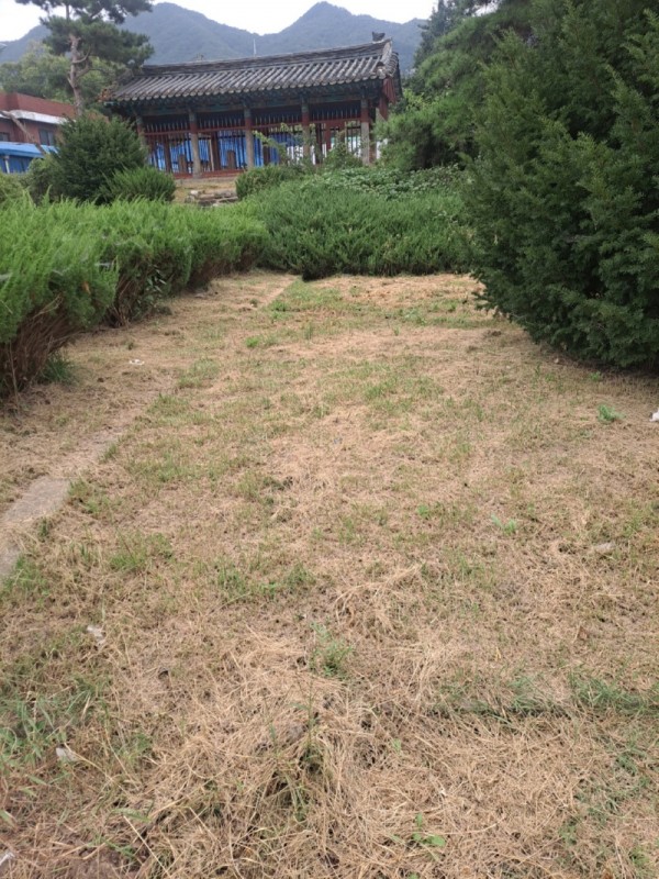 KakaoTalk_20220913_202715087.jpg