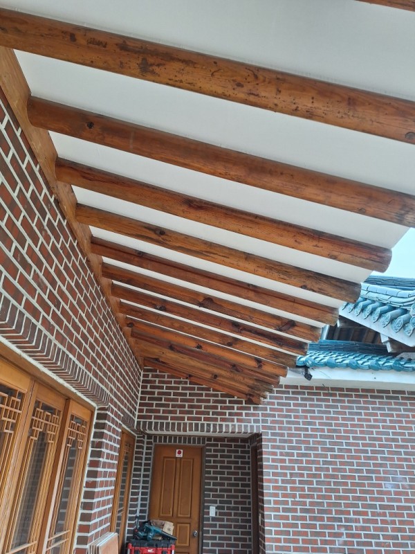 KakaoTalk_20250624_092851500.jpg