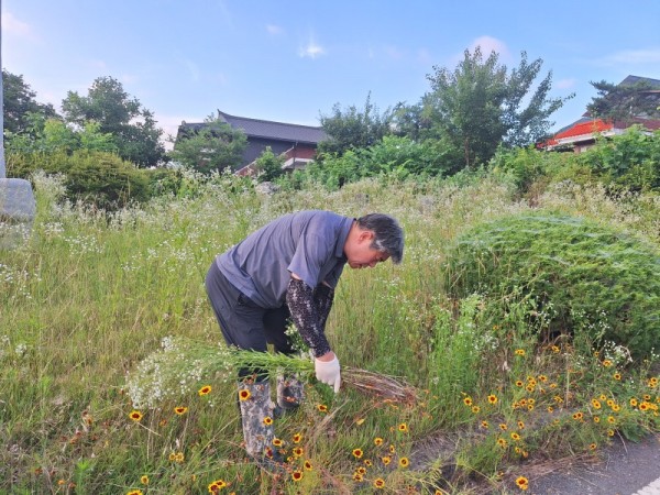 KakaoTalk_20250705_205347604.jpg