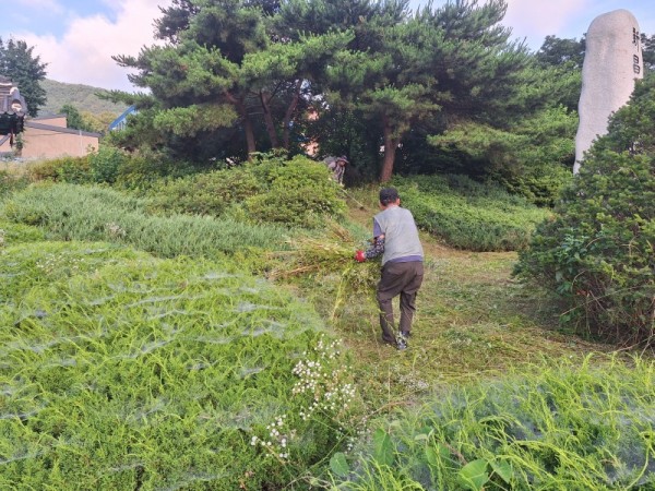 KakaoTalk_20250705_205349033.jpg